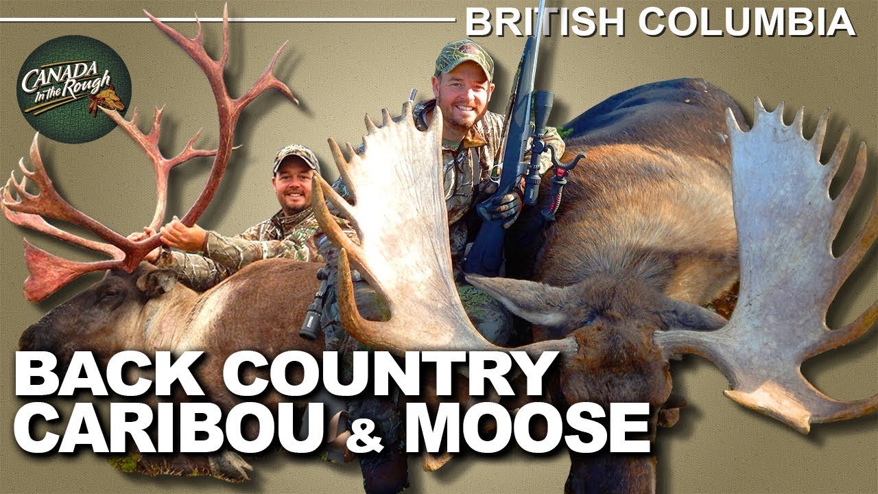 Incredible Caribou and Moose Hunt in BC | Canada in the Rough