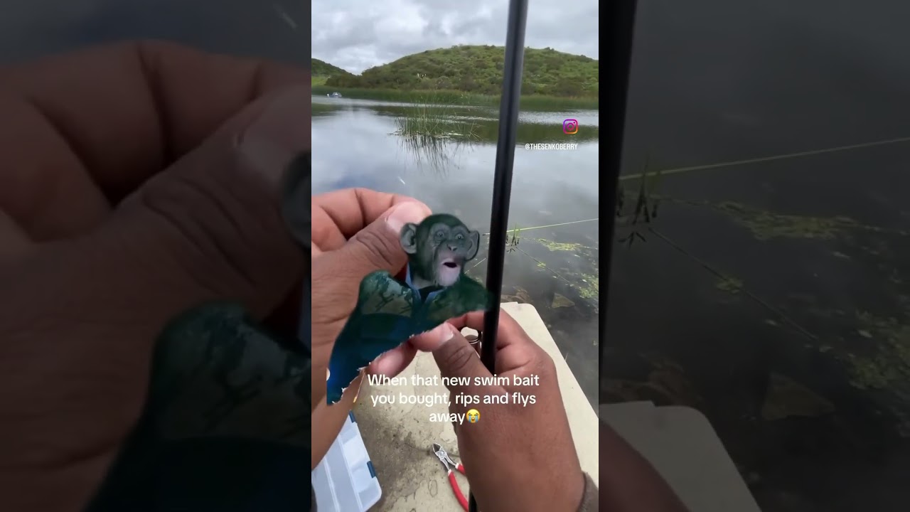 First day to buy a swimbait, first cast and my line rips and sends my swim bait flying #fishingvideo
