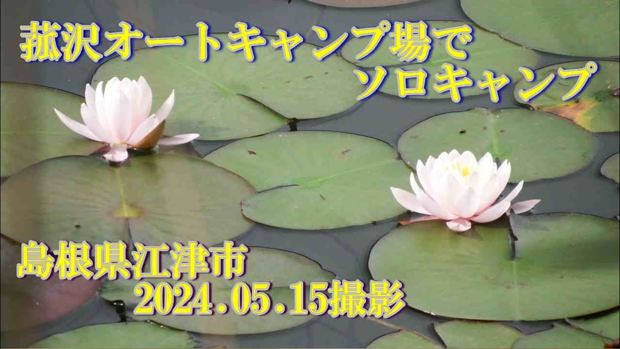 菰沢オートキャンプ場　2024.05.15撮影