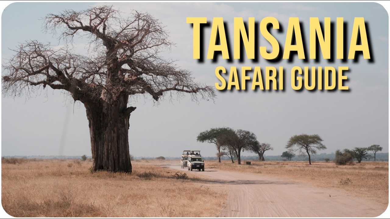 So buchst du deine SAFARI in TANSANIA (inkl. Kosten, Malaria, Tipps & Infos)