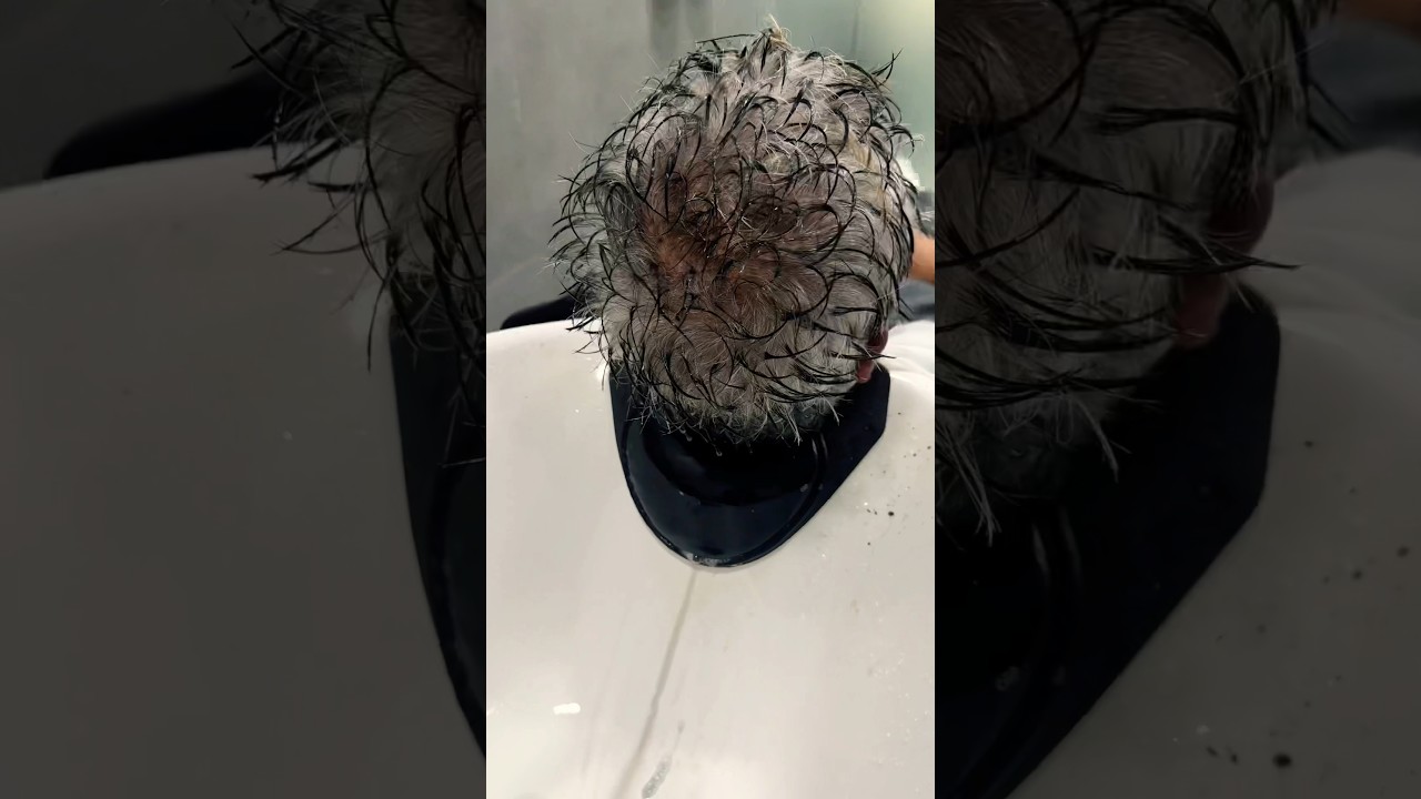 Salt and pepper hair colour✨👨&zwj;🦳 #hairbysanjeev #salt #pepper #newcut