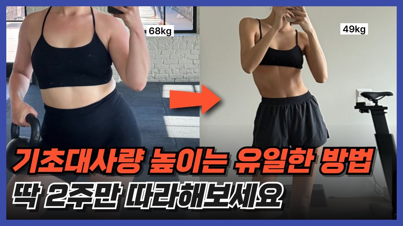 다이어트 중인 분들 꼭 보세요. 살 빠지는 체질이 되는 방법 싹다 정리했습니다. | 다이어트 논문 100편 20분 요약