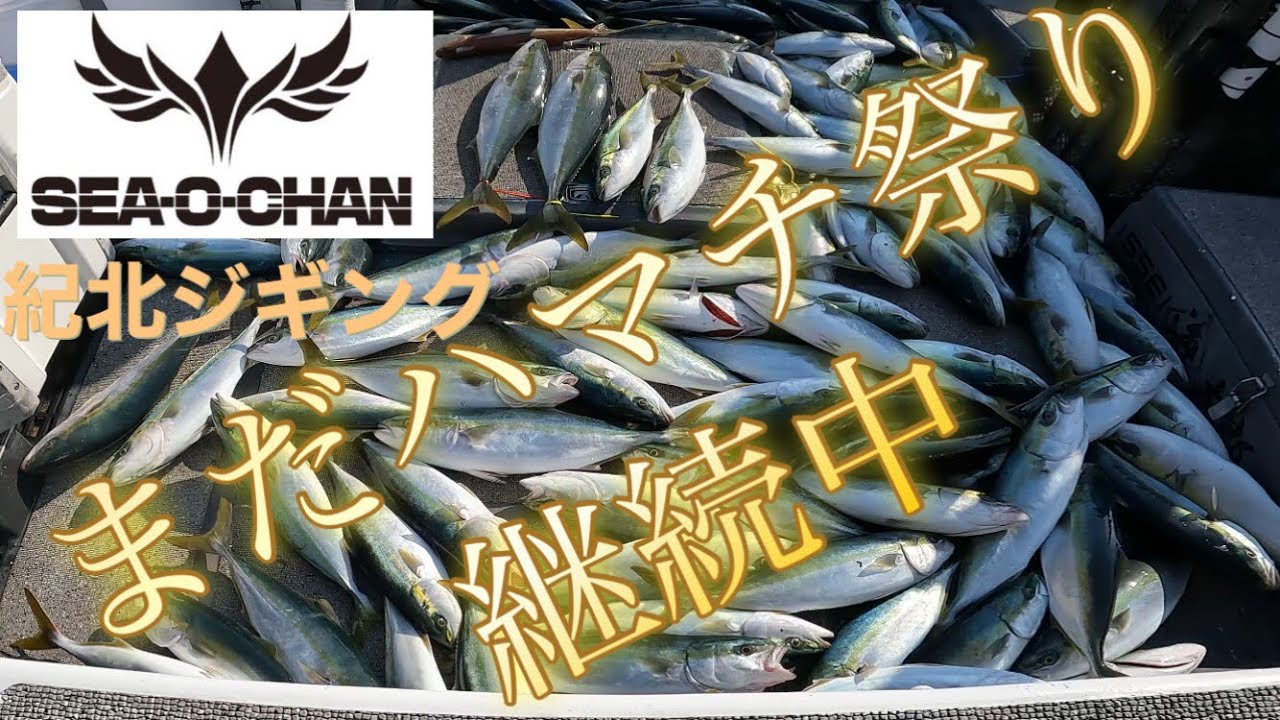 【紀北】塩ちゃんでハマチ超爆釣！昼頃には100匹【ジギング】
