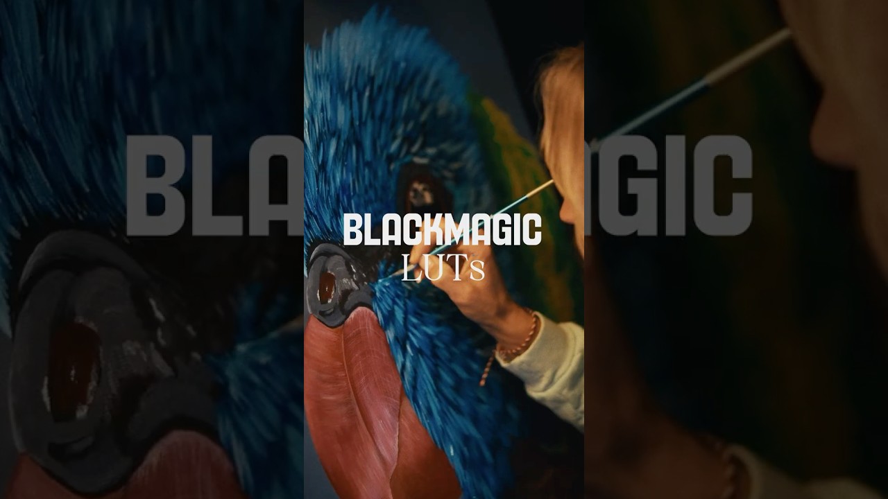 FREE LUT for Blackmagic Camera App &ndash; No Color Grading Needed