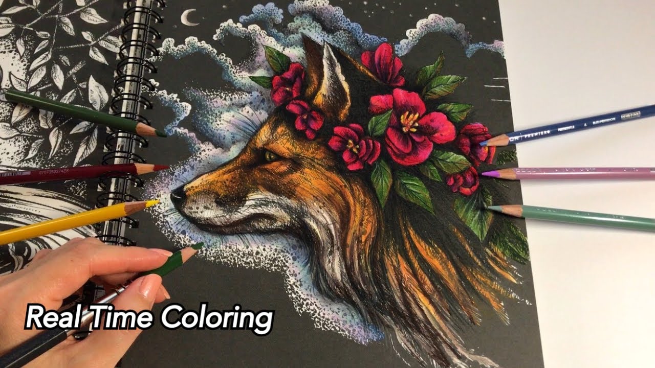 Real Time Coloring - The Midnight Fox | Ticket To Dreams Coloring Book