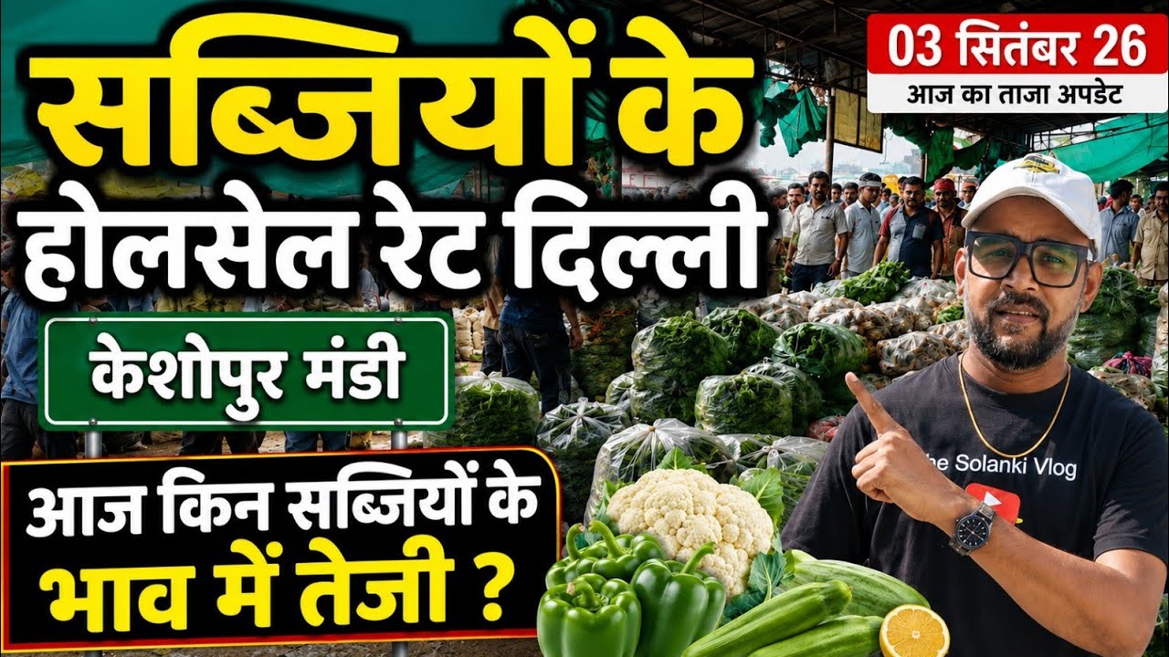 सब्जियों के भाव दिल्ली । 03 Sep. 2026 | Wholsale vegetable Market Keshopur Mandi Delhi #vegetables