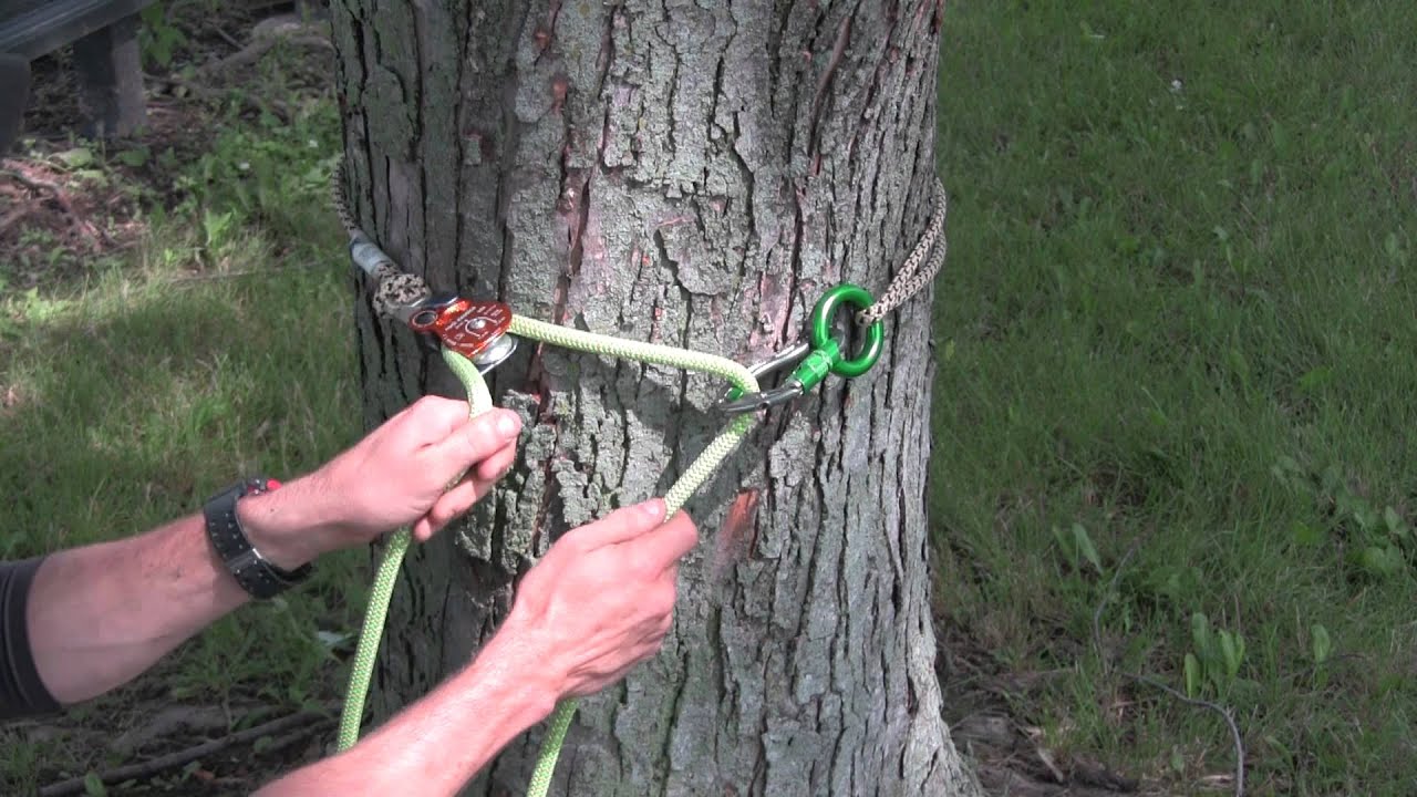 U-SLING Tree Climbing Tool