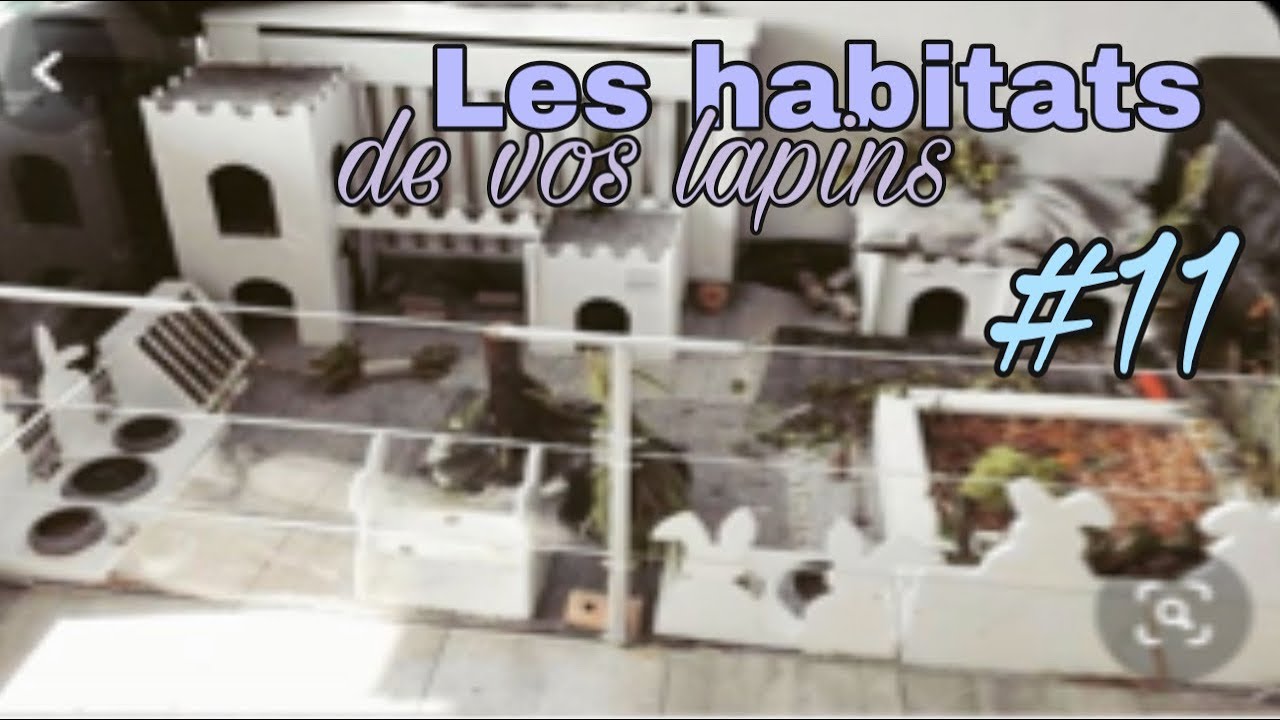 Je présente et je commente les habitats de vos lapins #11