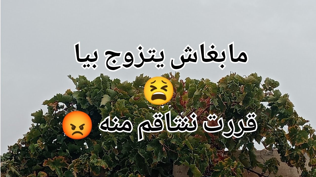 مابغاش يتزوج بيا 😫قررت ننتاقم منه😡لكن ماتتوقعوش شاصرى 😭
