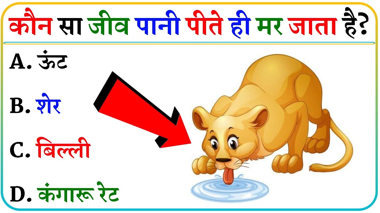 GK || GK Question || GK In Hindi || GK Question and Answer || GK Quiz || Ziya Gk Study ||