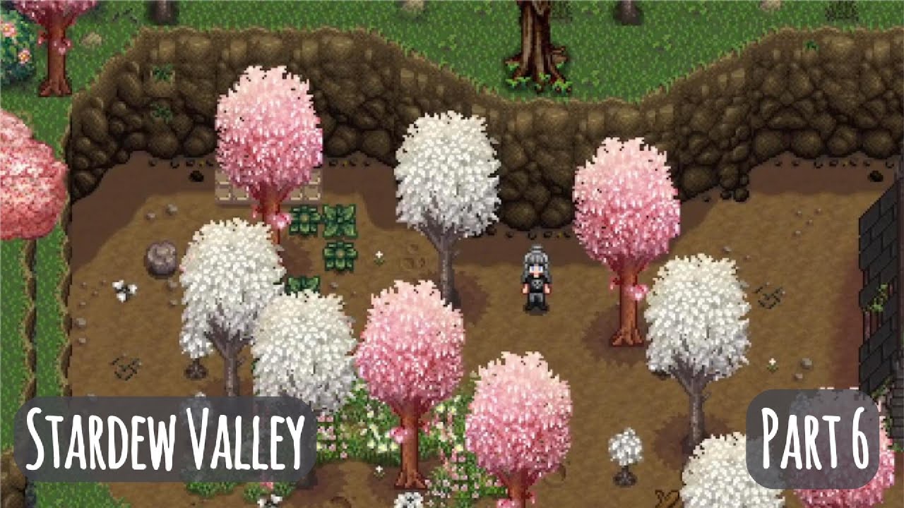 Stardew Valley | Cozy Playthrough | MODDED | Wilderness Farm Part 6 | No Commentary