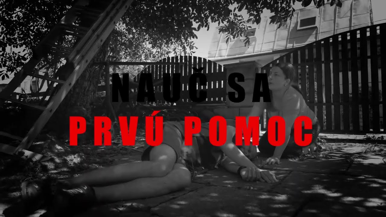 Prv&aacute; pomoc v praxi 2