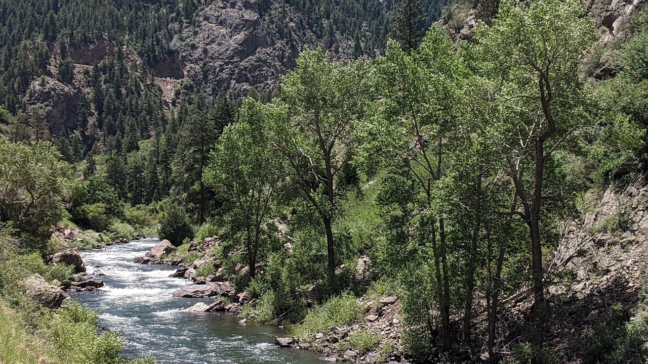 Pike National Forest Nature Photos from Colorado in 4K
