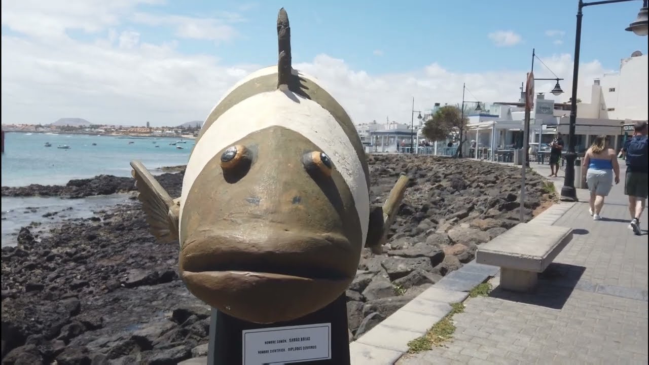 Daydream - What a Day for a Daydream in Corralejo, Fuerteventura
