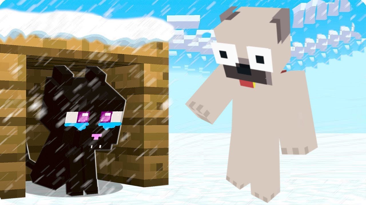 TALÁLTAM EGY ARANYOS CICÁT A MINECRAFTBAN!