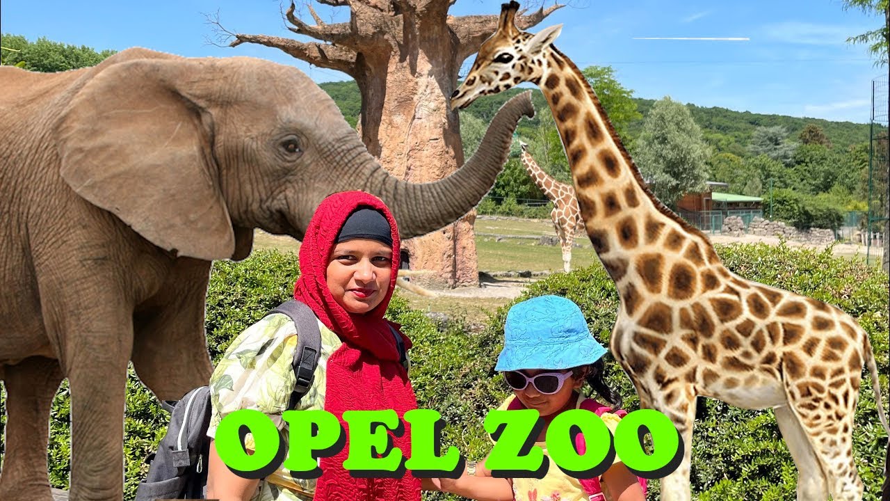 Opel Zoo | 2022 | Kronberg | Taunus | Hessen | Frankfurt