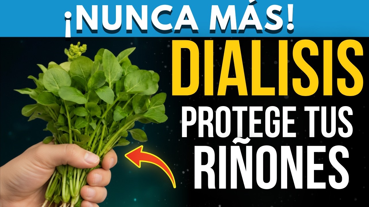 HOJAS NATURALES que PROTEGEN tus RIÑONES y ALEJAN la DIÁLISIS