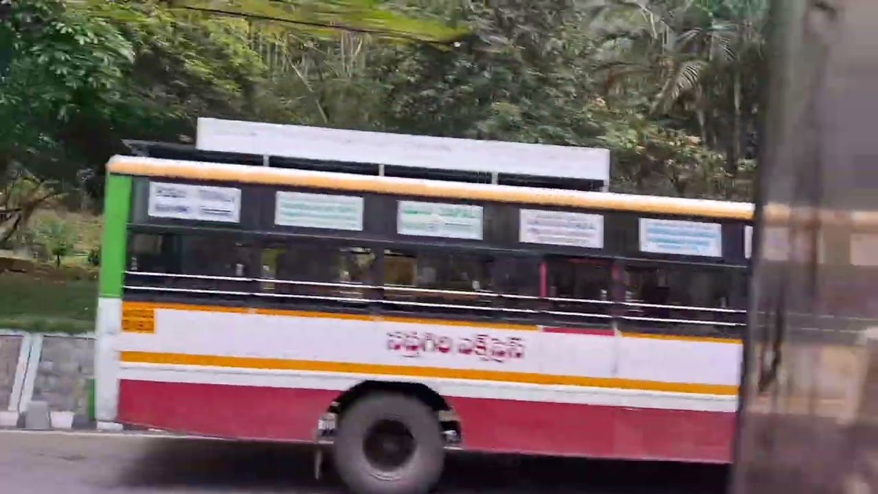 Tour & Travel from Forest Mountains to Entered Tirumala Bus Stand