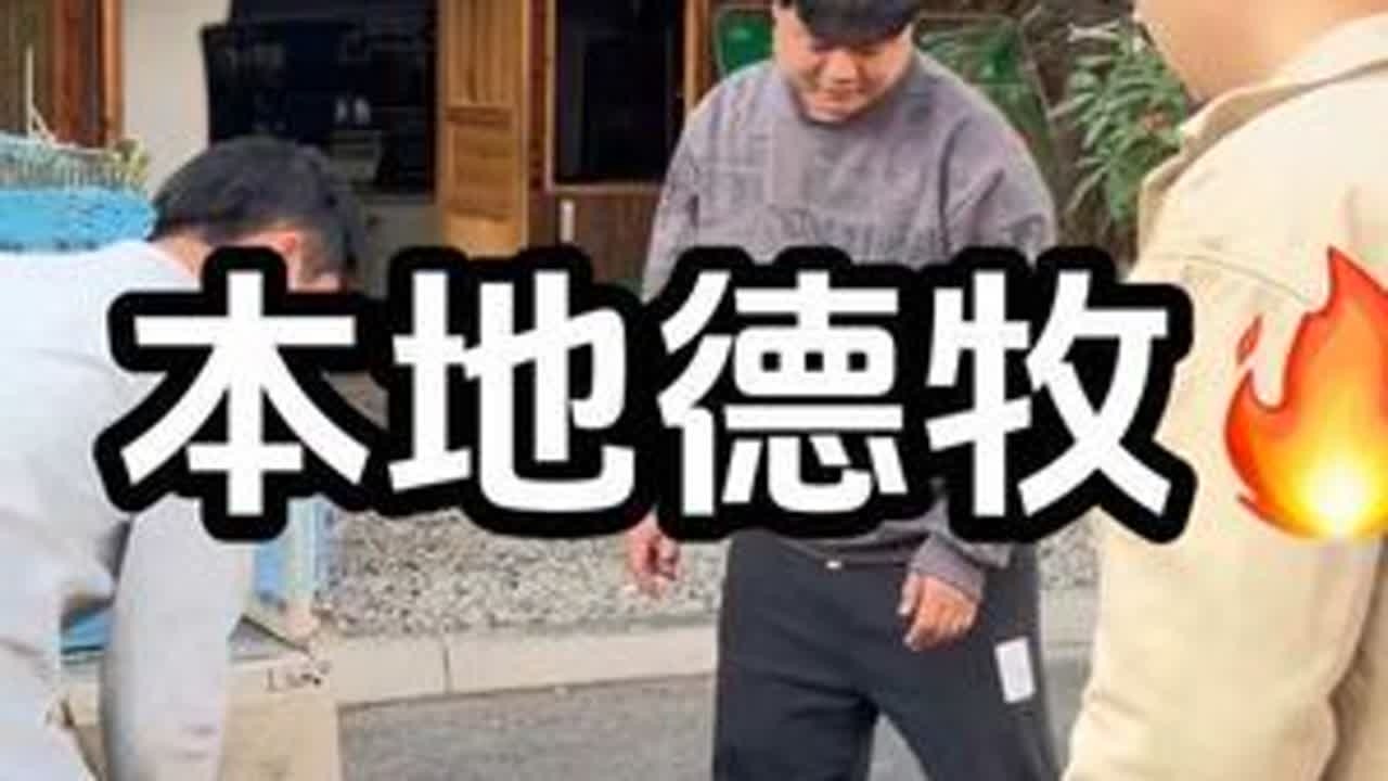 今天捅了德牧窝。要过年了都在处理狗。哪里有狗哪里就有狗哥#德牧