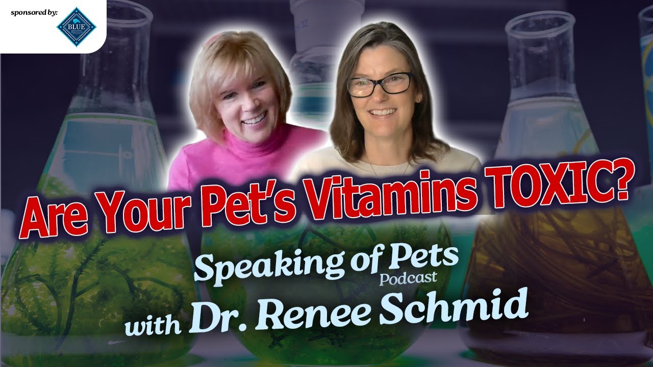 Hidden Pet Poisons You Don't Know About