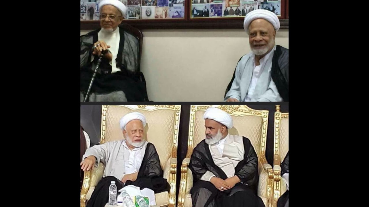 آية الله الشيخ حسين العمران يتحدث عن الممارسات الوثنية في المواكب