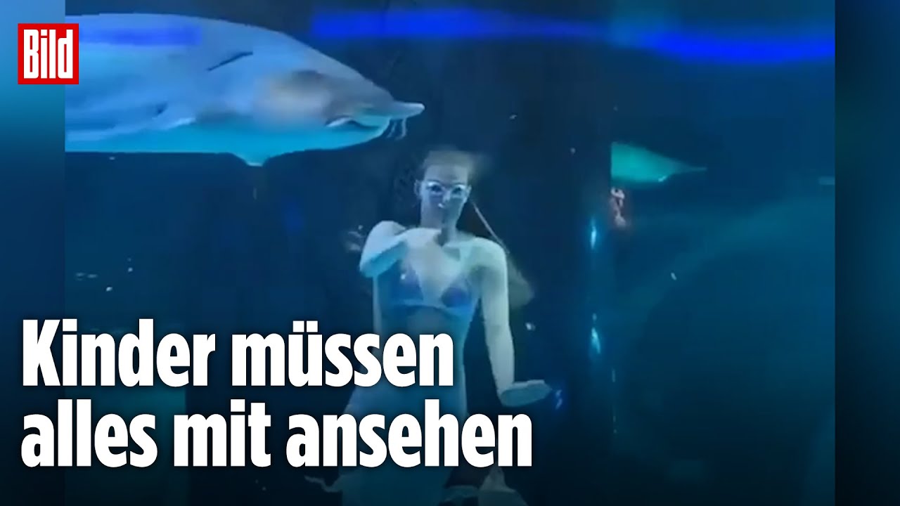 CHINA: Riesiger Fisch attackiert Meerjungfrau
