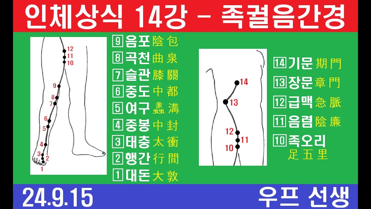 인체상식 14강, 족궐음간경, 12경락, 경혈 이름 쉽게 이해하기, 우프 선생, 2024년 9월 15일, 일요일