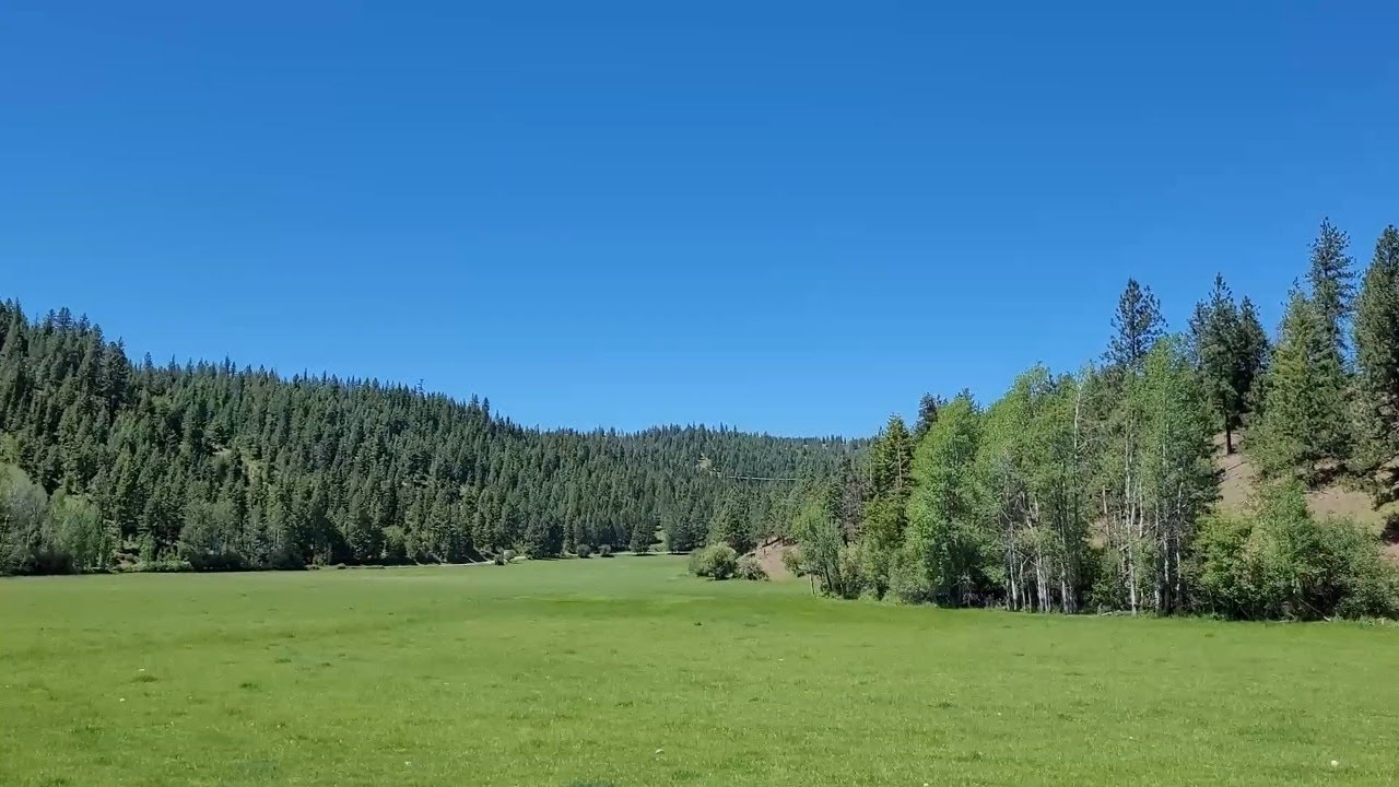 Living In Nature (slightly edited)