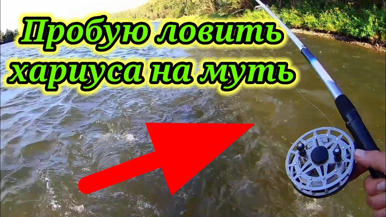 Пытаюсь Ловить 👆 хариуса на Муть. Рыбалка .