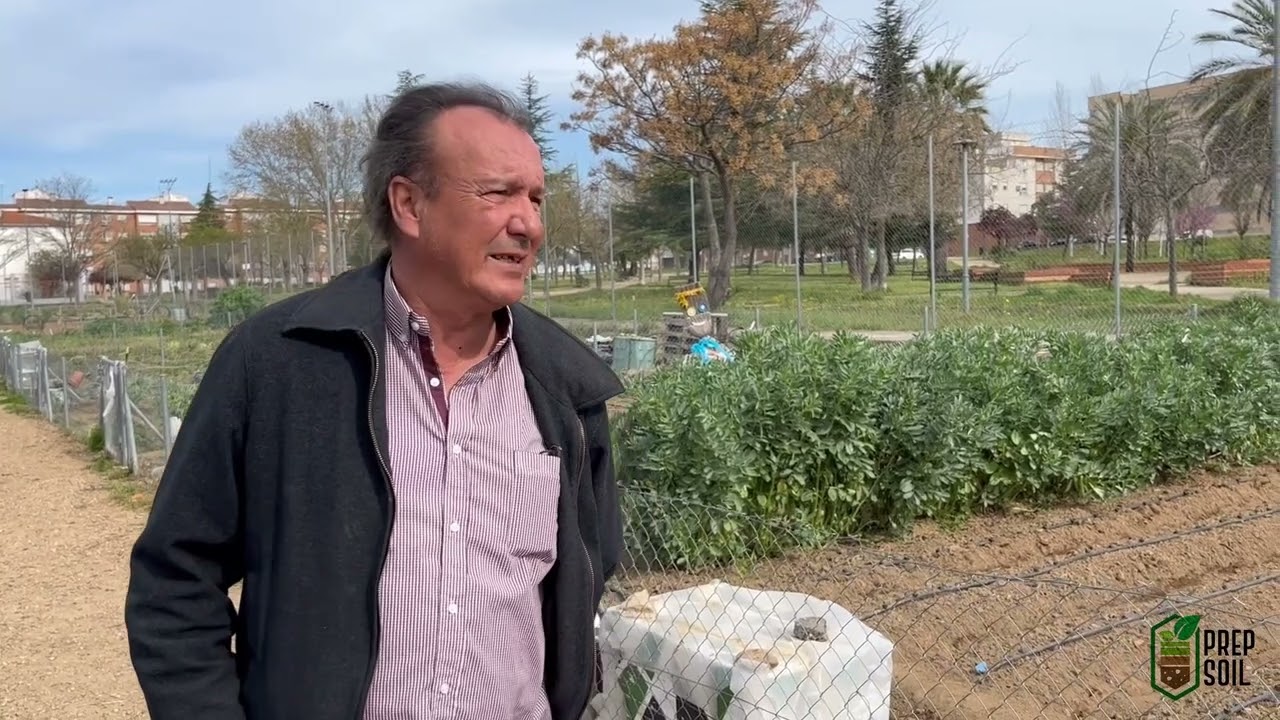 Urban gardens at 