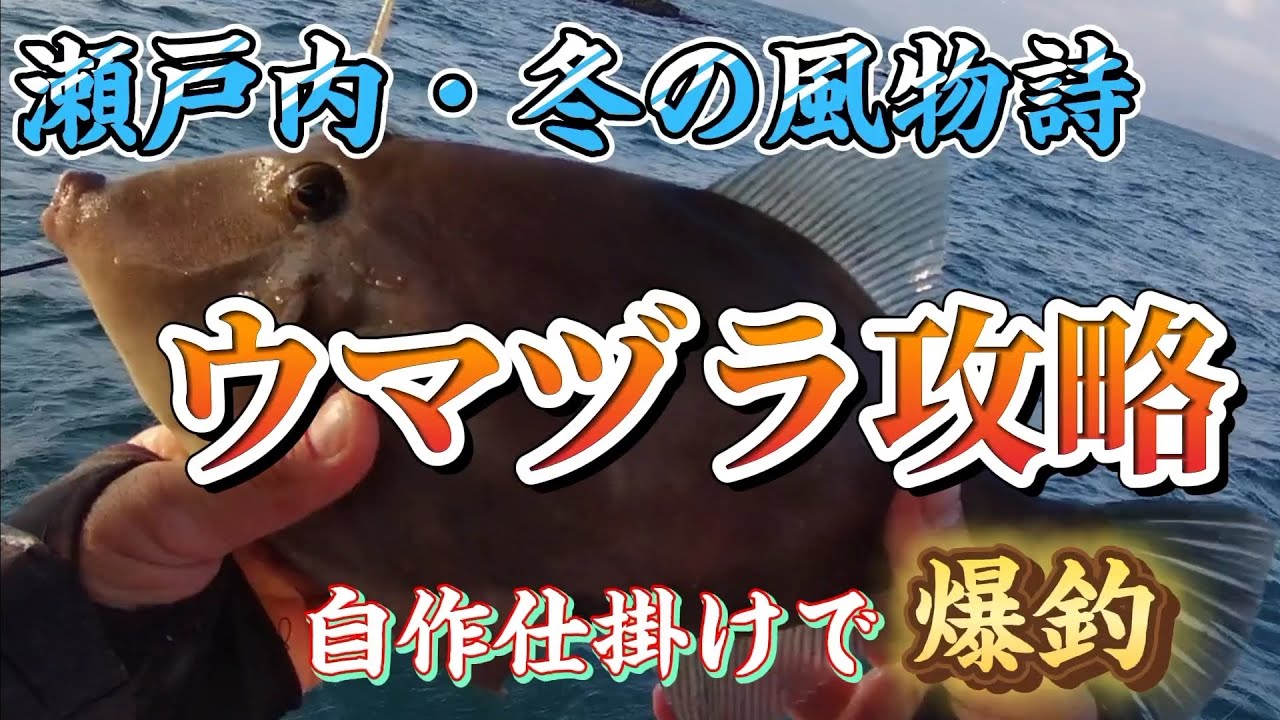 vol.36【遊漁船 隆高丸】ウマヅラハギ攻略。自作仕掛けで1人爆釣【瀬戸内 周防大島沖】#ウマヅラハギ #カワハギ #船釣り #遊漁船