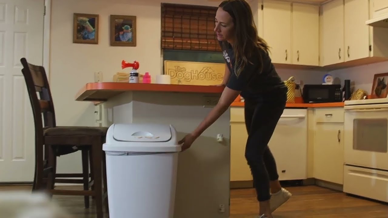 Training Examples | Apartment Training | Full Video