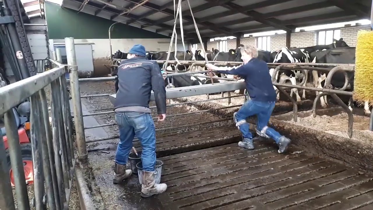 GEVAARLIJKE SITUATIE door gebroken rooster boven de MESTKELDER | Spoedreparatie  Boer Gerrit vlogt