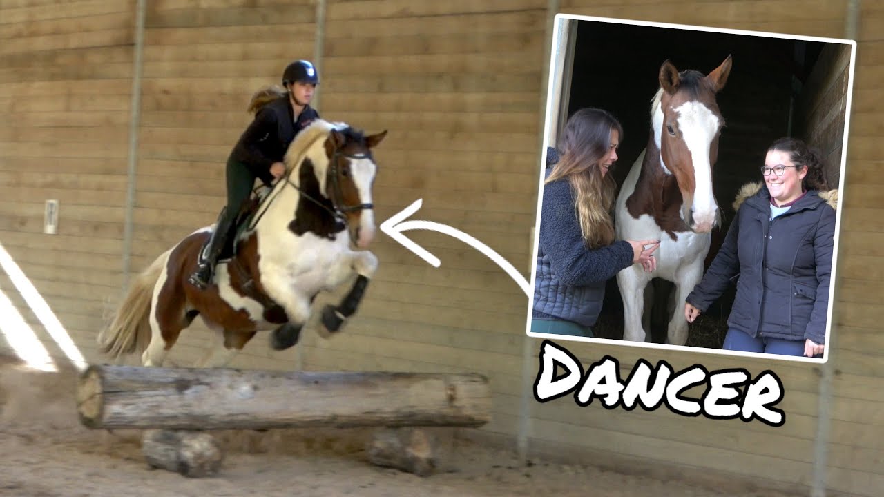 JE MONTE VOS CHEVAUX - Séance de DERBY avec une JUMENT Irish Sport ! 🔥