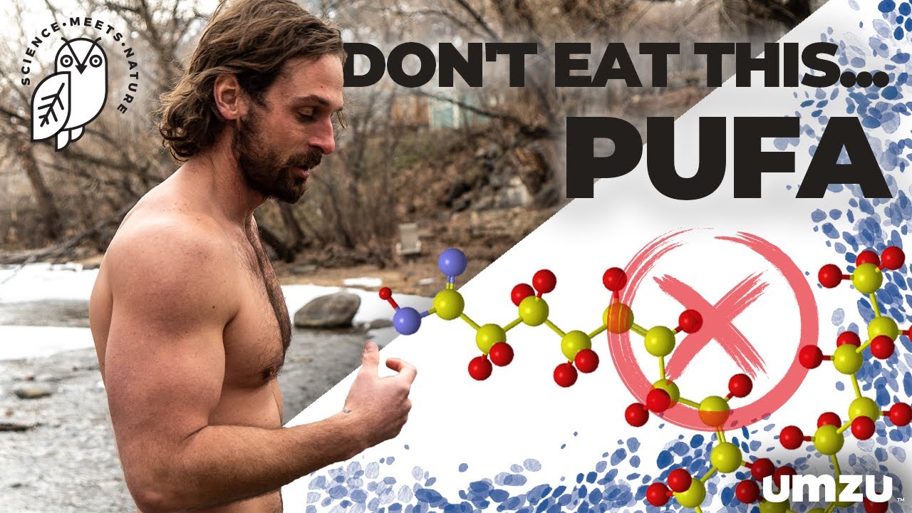 Don't Eat This... PUFA: Polyunsaturated Fats Kill Your Testosterone Levels
