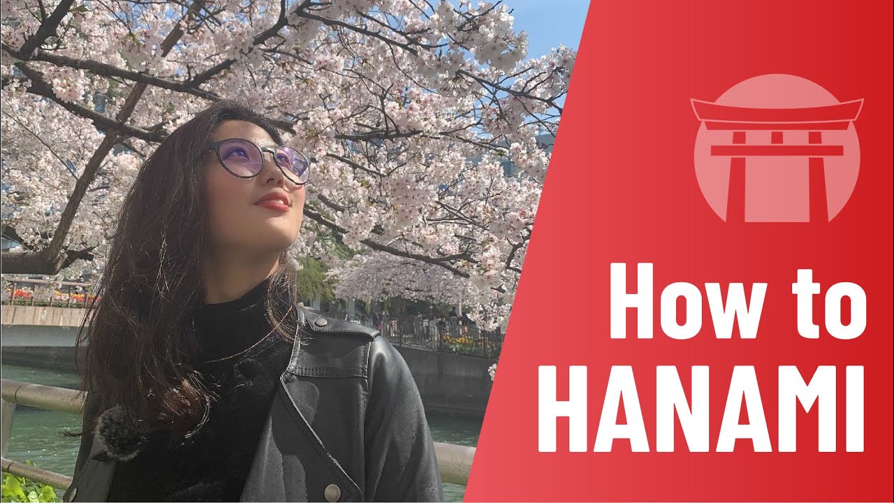 HOW TO HANAMI 花見 🌸 A Beginner's Guide to Japanese Cherry Blossom in Tenjin, Fukuoka