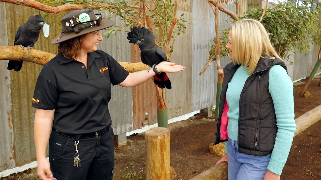 Destination WA - Whiteman Park - Must See Tourist Attraction