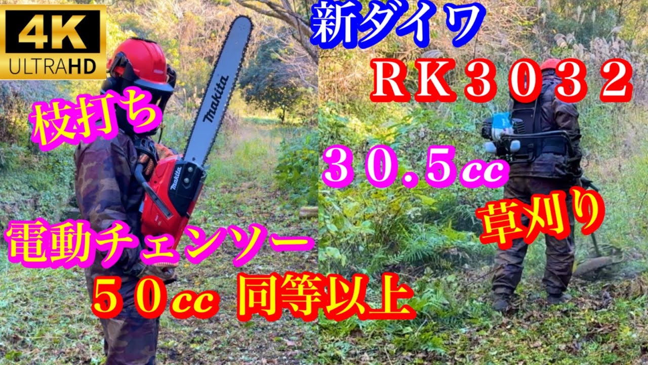 草刈り、枝打ち、電動チェンソー５０cc同等以上パワーと  新ダイワＲＫ3032AVS機構搭載３０.５ccで作業しました#草刈り #竜ちゃんの田舎暮らし 
