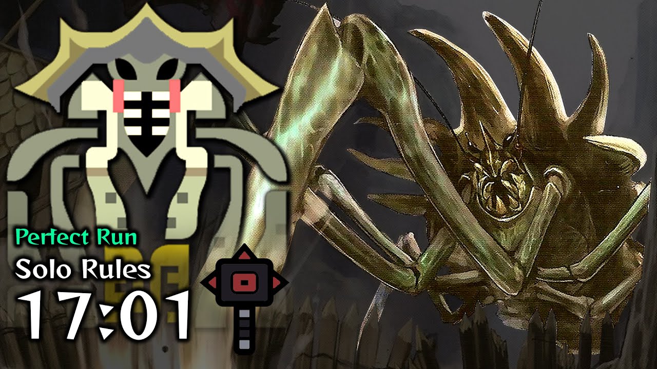 Shen Gaoren Vs. Hammer - Monster Hunter Freedom Unite - シェンガオレン  ハンマー ソロ【MHP2G】