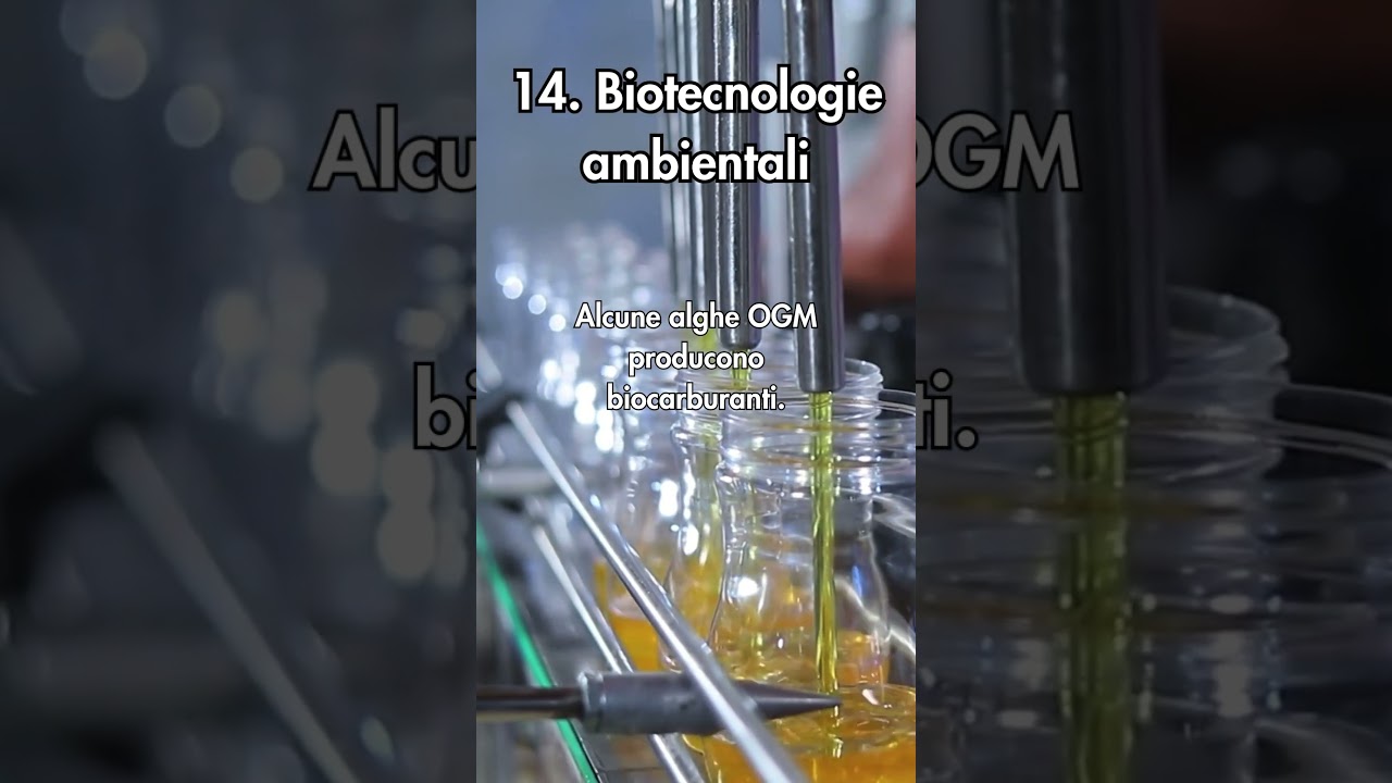 14 &ndash; Biotecnologie ambientali