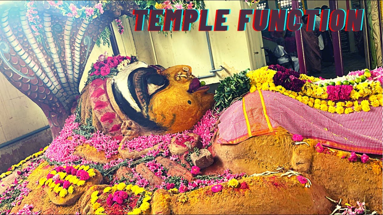 Temple Function @ Native | Trailer Video