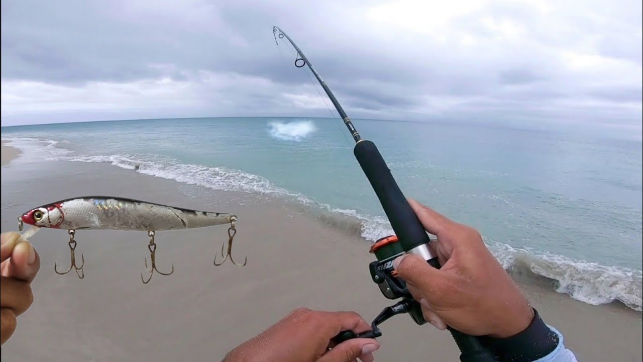 PESCA de PRAIA em uma ILHA DESERTA!!! PEIXE BRUTO BATEU CARREGANDO A LINHA TODA | Rock Fishing.