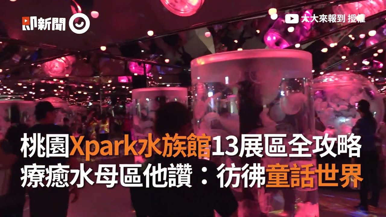 桃園Xpark水族館13展區全攻略 療癒水母區他讚：彷彿童話世界