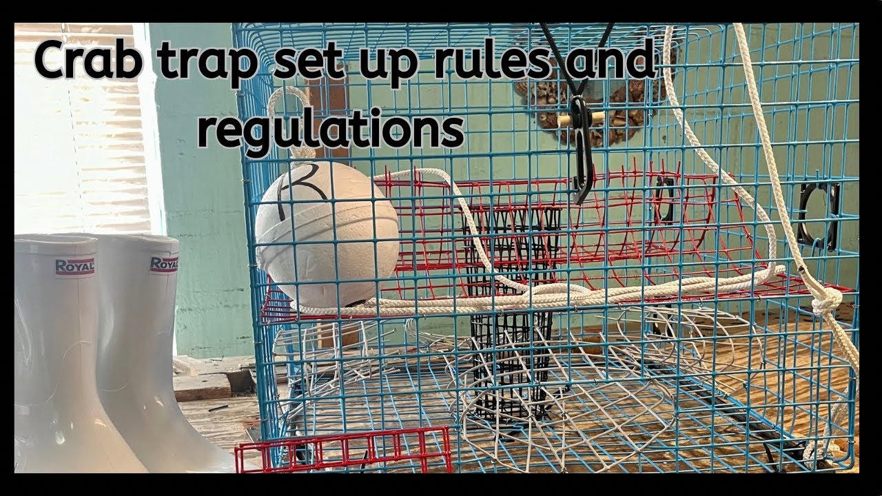 Crab trap set up rules and regulations
