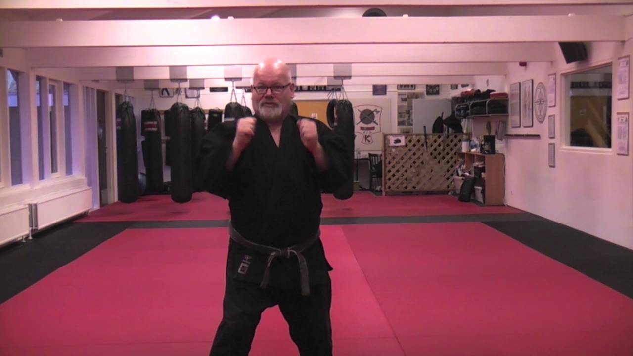 Kenpo 19  -  Two versions of Short form 3
