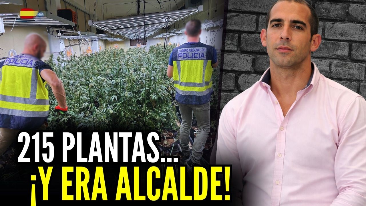 El Alcalde Detenido con 215 Plantas de Marihuana… ¿Otro Escándalo Político en España?