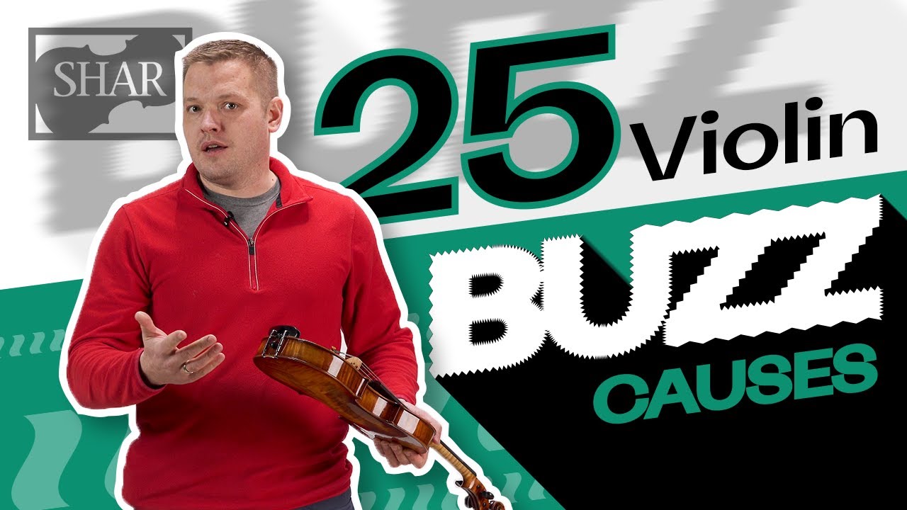 25 Reasons Your Violin Might Buzz