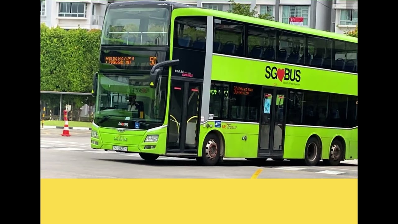 Bus Service 50 Picture Compilation