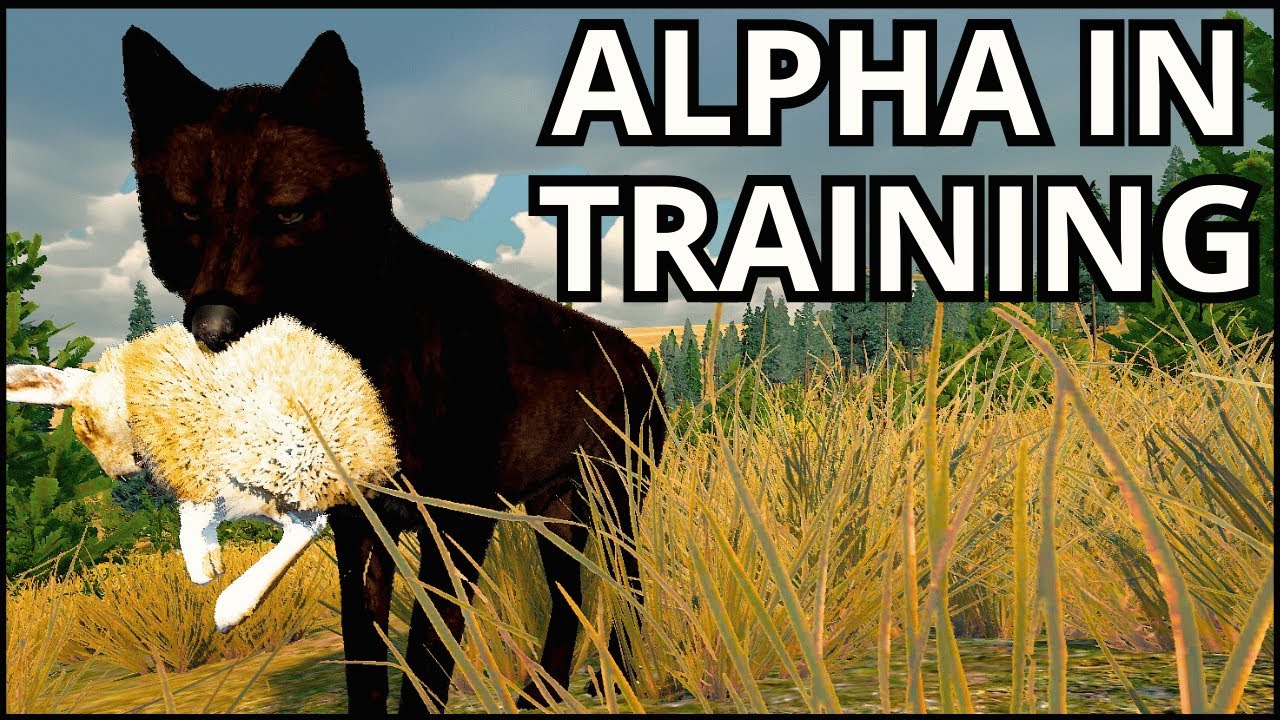 My First Steps as a Wild Wolf | WolfQuest Anniversary Adventure!