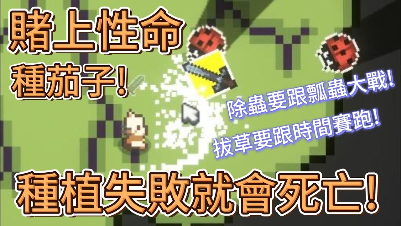 賭上性命，種茄子！種植失敗就會死亡！除蟲要跟瓢蟲大戰！除草要跟時間賽跑！我只是種個茄子而已...怎麼失敗就會死亡...【你好茄子：精靈的誕生】#eggplant #die #game #plants
